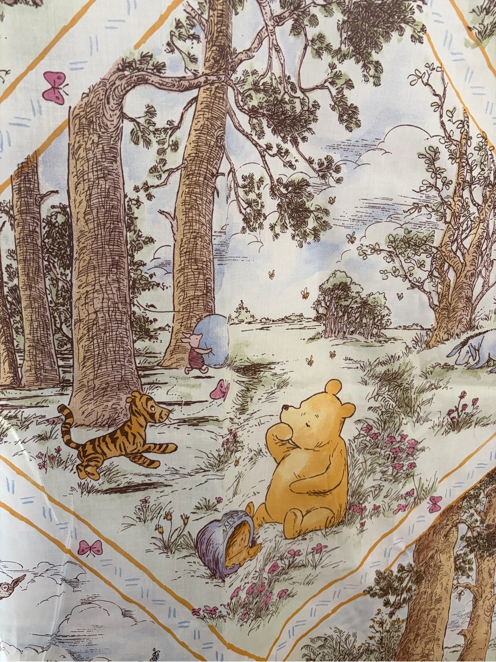 Vintage Springs Fashion 90’s Winnie The Pooh Shower Curtain